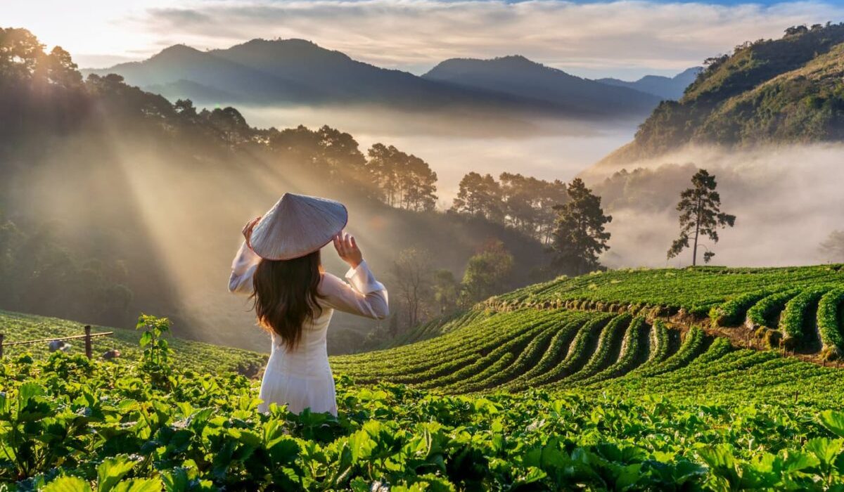 A girl looks at rice fields in Vietnam